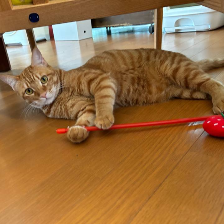 091fc069 4ec4 4697 8660 e5b638cd50a4 1752885318972