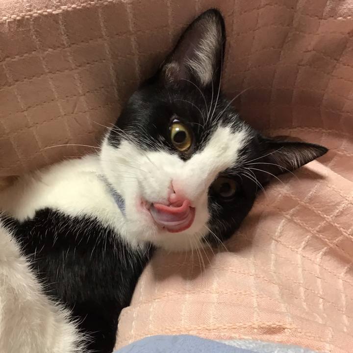 09200bfe 3805 4bbf 9785 36b9a61041ae 1637392430884