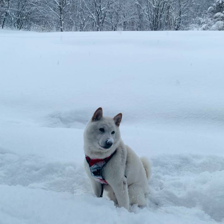 09201b0d b3a2 4bb7 9c4d 15186a705ed4 1609112281590