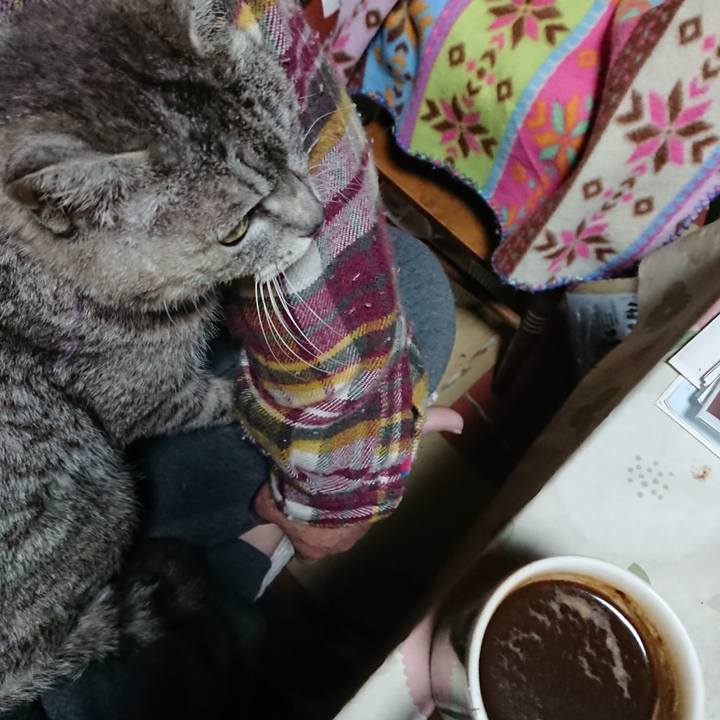 09209bd3 988a 4efc bdd6 c283324d9c94 1585426951310