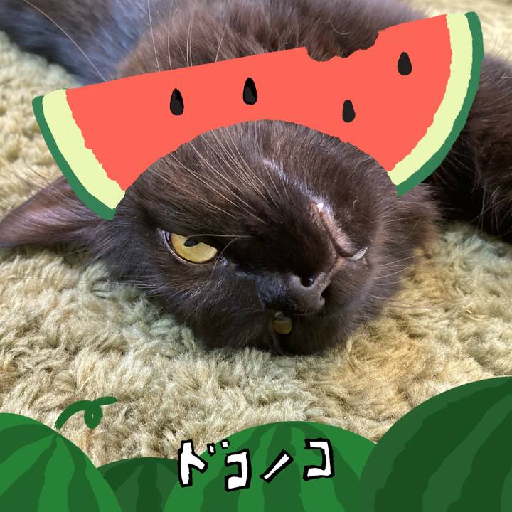 0920ab28 81a6 4276 ab15 53811e810420 1720951983883