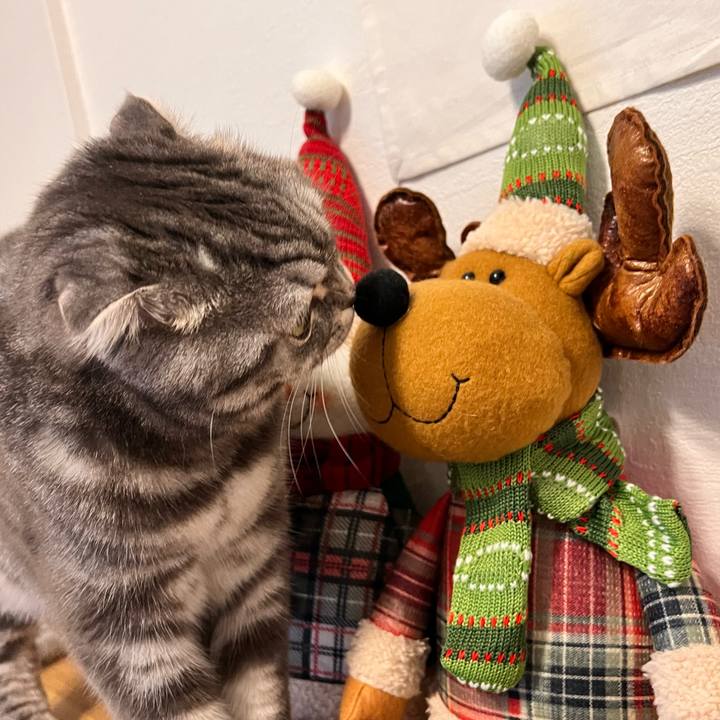 092111c3 ed8d 4206 8564 c8f612cea963 1671980234176