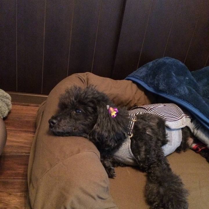 092116cc 3999 4b2c 8ce3 8d4ea02aeb70 1544056183331