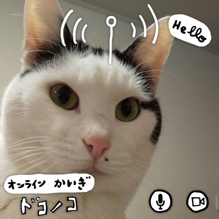 09212b9d ee06 4f69 b808 b0662534d0ee 1590790285924