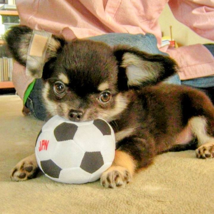 09217bac f585 492a b62c f261f77f9034 1771399102703