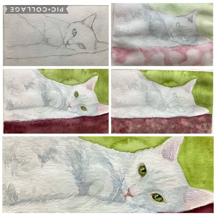 092185e1 a86d 4fe5 916e 7a94aeb567d2 1759628143527