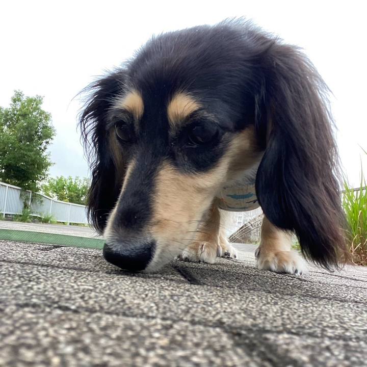 0921cea9 7211 4075 abf4 a8f5cd0b851d 1723158833141