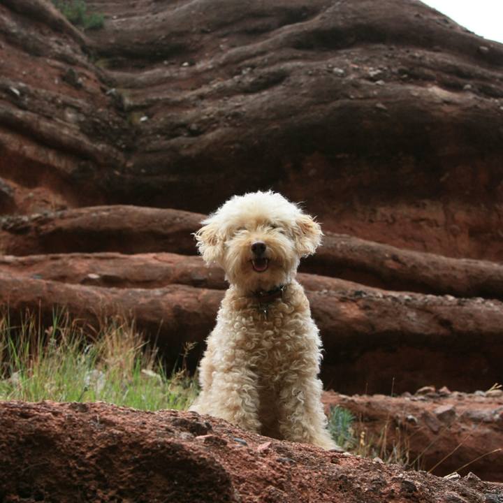 0922288f 95cc 47b5 bf85 9d7d4eda8a49 1537340596700