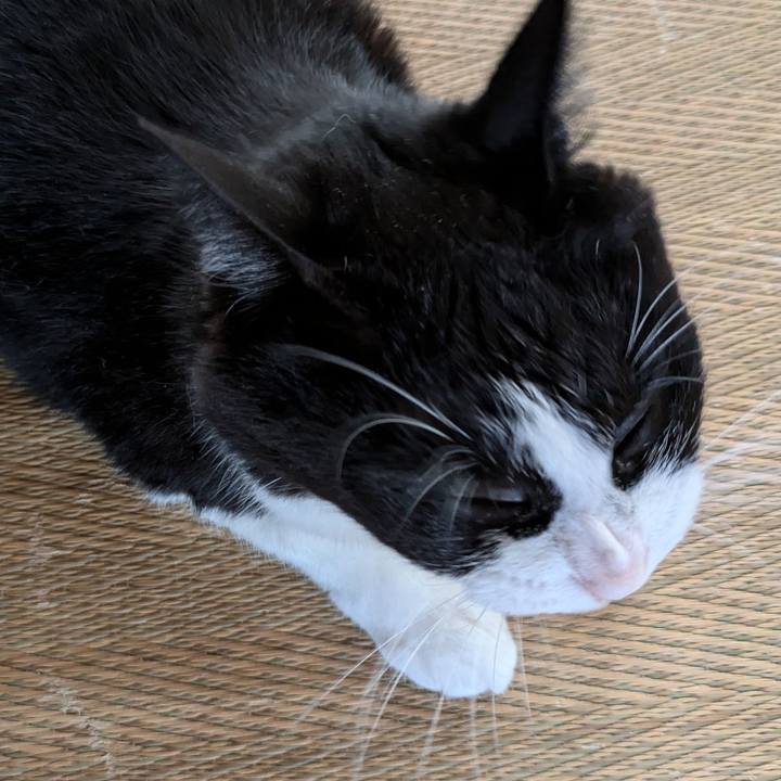 0922384d d139 4899 97bf 8bbf13188d69 1722236028959