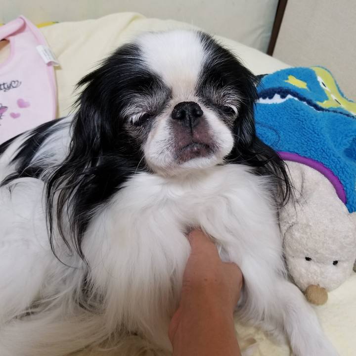 09224ac5 fcad 4ac9 acfd 2b98e4784978 1509019979380