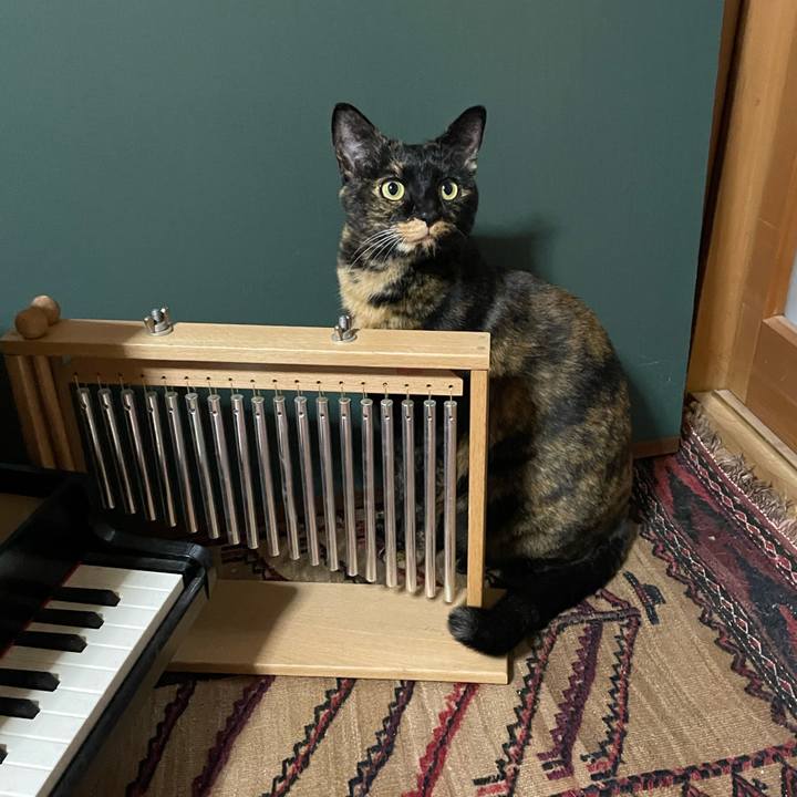 09224c5b 15c5 4d7d 8ae9 55de0a97002c 1762934359387