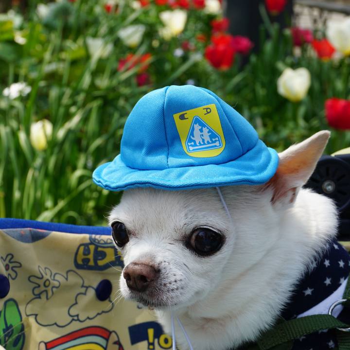 0922a058 c09b 4fdd b686 bbaaea256e1a 1601031223094