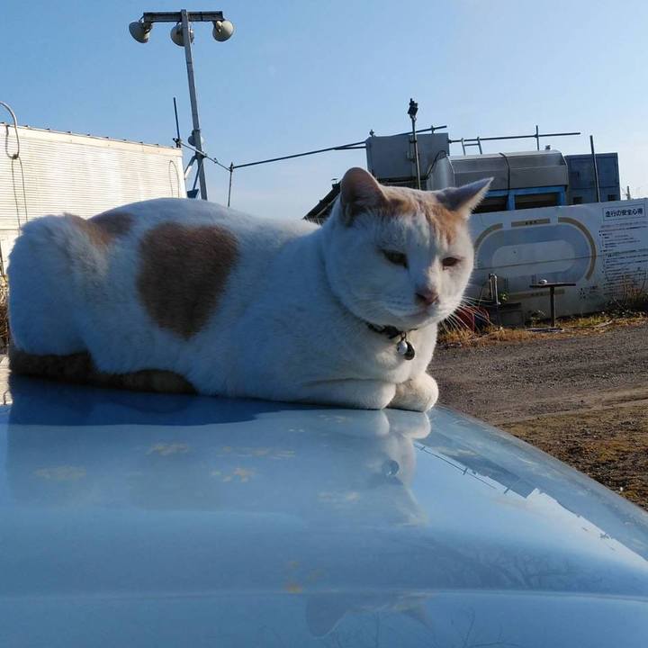 0922a123 4246 489e b949 9a764eb676e2 1607645813726