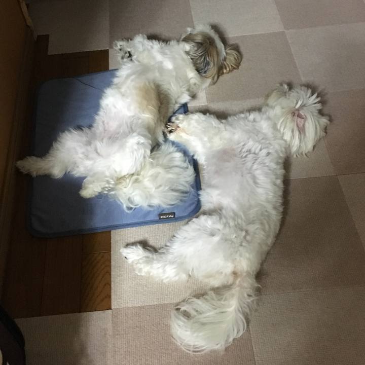 0922a4a3 f8a1 4f61 80d1 08eb4b8cc6ba 1536192425797