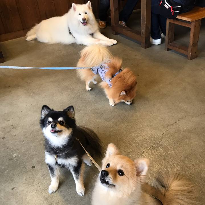 0922a5b4 a3ae 47aa 85ed 1ecfc19b80a8 1577285933501