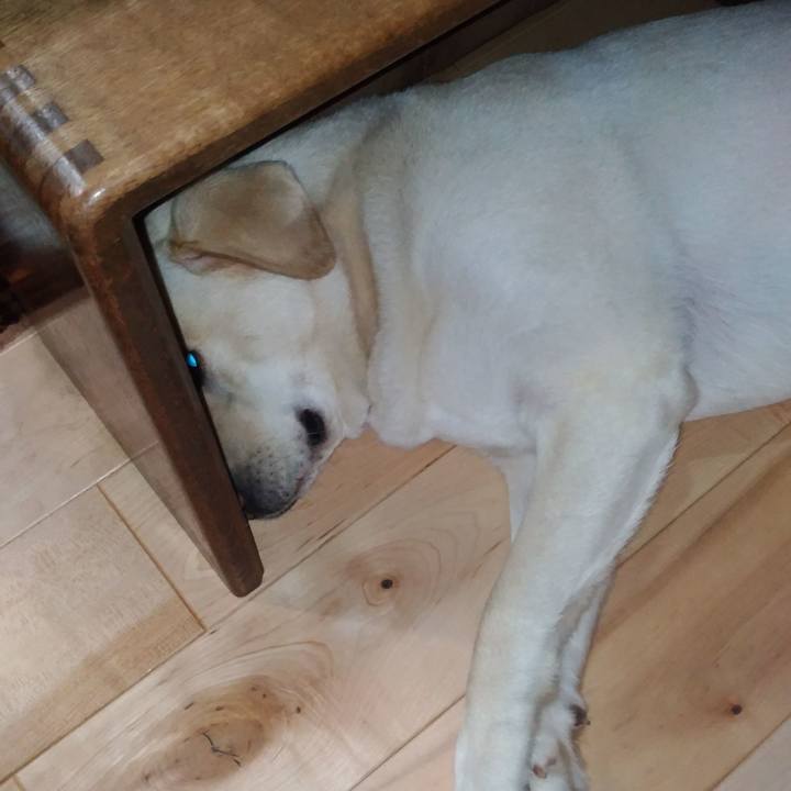 0922dc11 d353 4c6e 8f22 0b1764931c8b 1524578195422