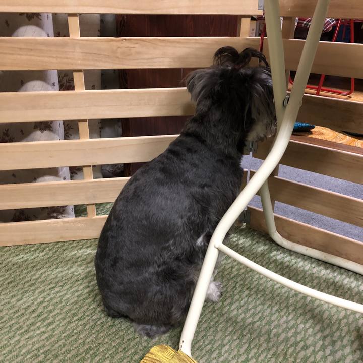 0922ea37 9b03 42ca 9db2 9a23bb4aa435 1520939392970