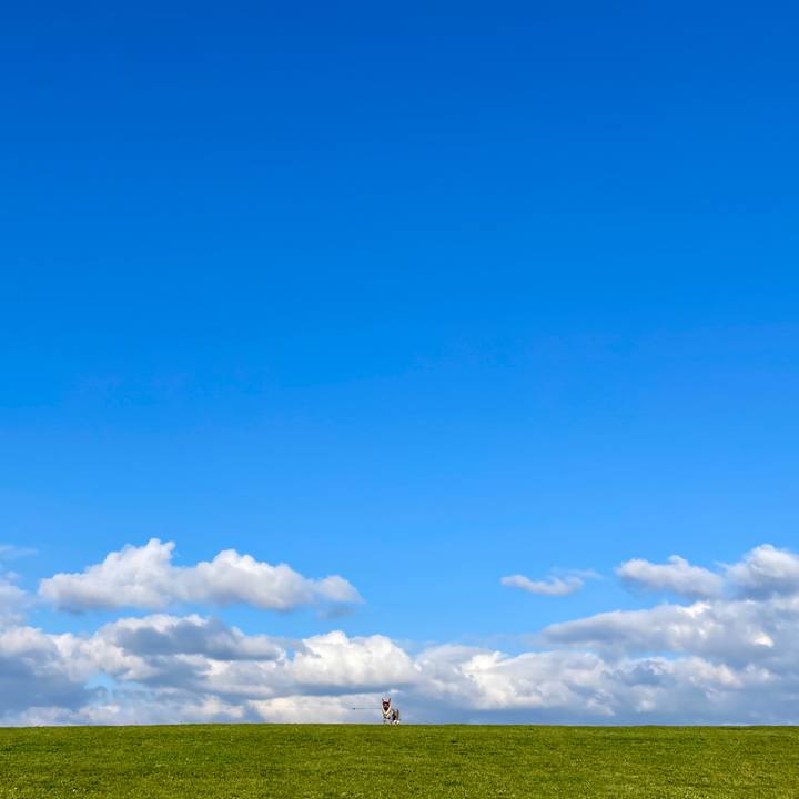 0923061b f33f 4fda 968c c1e70cbae975 1699088992349