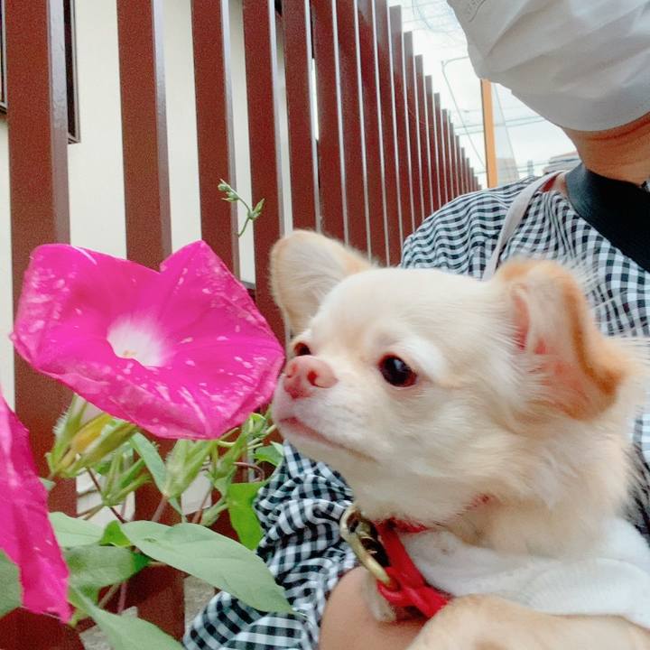 09231194 8484 46ba acbe ea89d3c0289b 1630925974970