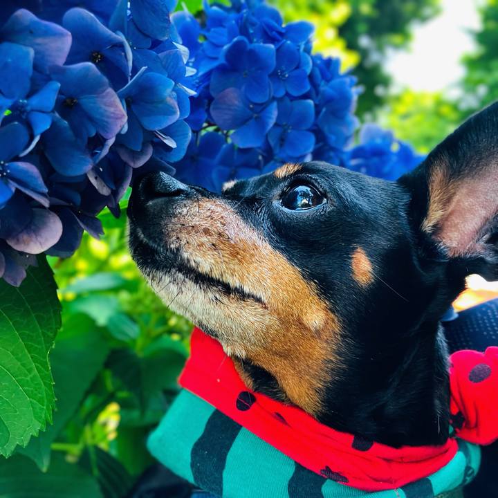 09231b52 adea 44b9 8fcd ad2c7e06604e 1751197423590