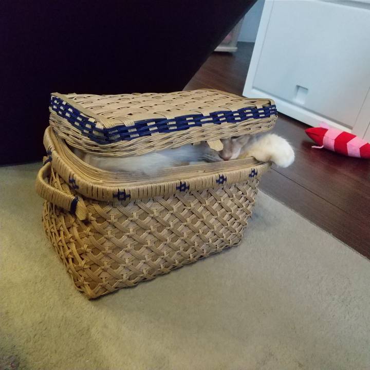 09232e97 dc67 4992 943a 597d549f2402 1620864934535