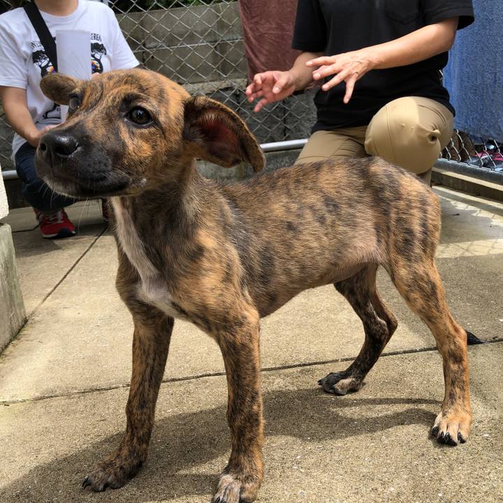 09233106 7085 4622 87e8 99a474424bee 1567510951555