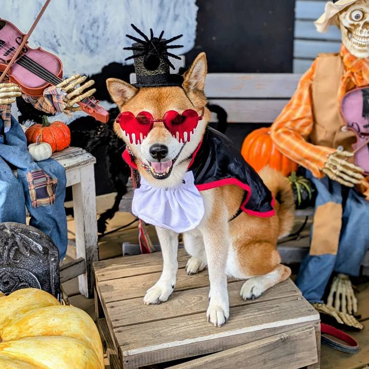 0923337e a4e1 493a be2d 61c58ae43dcc 1760332080233