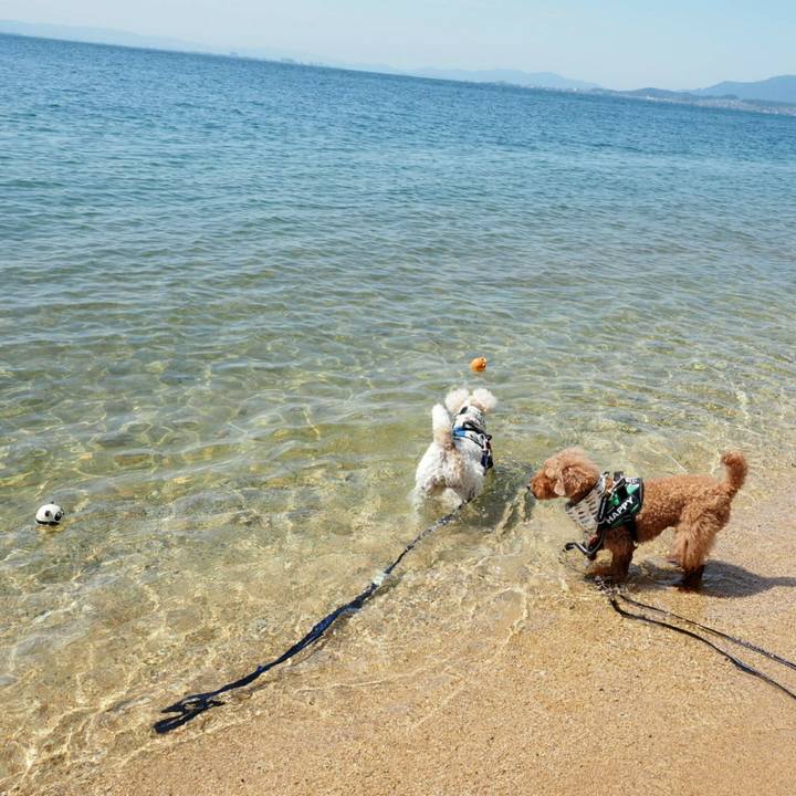 09235aa7 8fe2 4473 8c1f 0b170acbe0d9 1527205371377