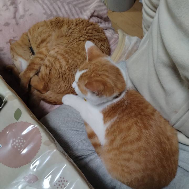 092383f5 d337 4aa7 ac52 8f4d19b039d5 1733734935927