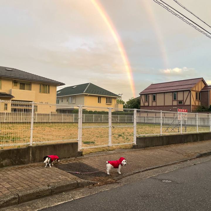 0923bda1 6e60 47cf b9a5 751475e8563a 1752582318960