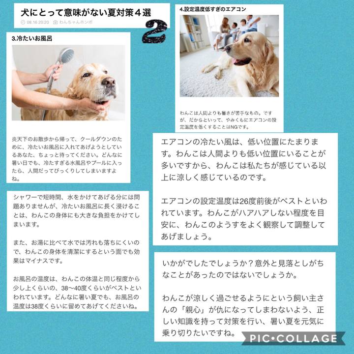 0923d185 f014 44e9 98f5 40f2d0e3ac8b 1534494517144