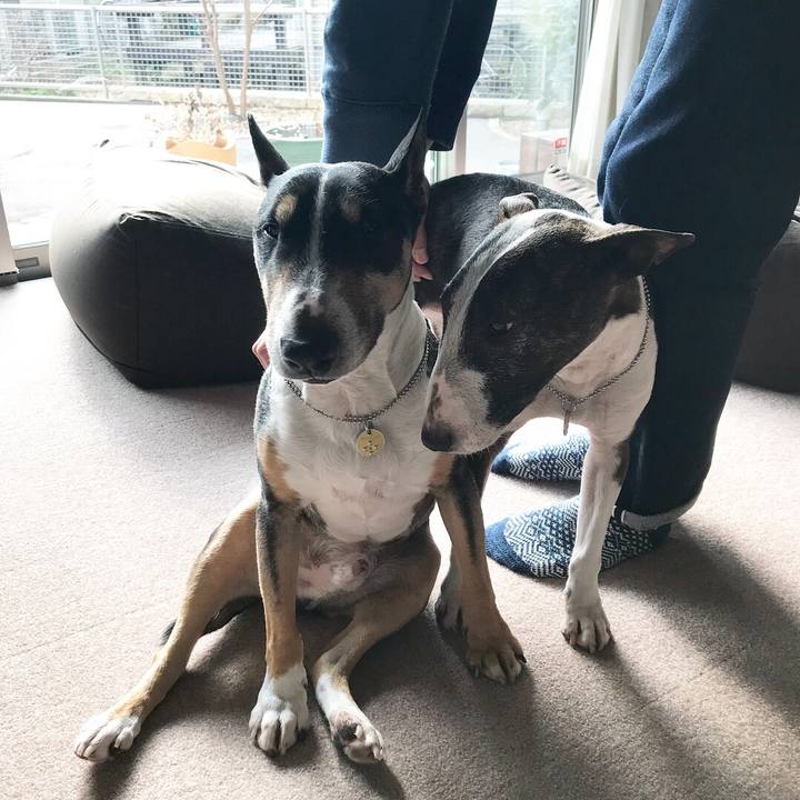 09240094 4940 4261 9dea c07cff25d0ce 1516509880829