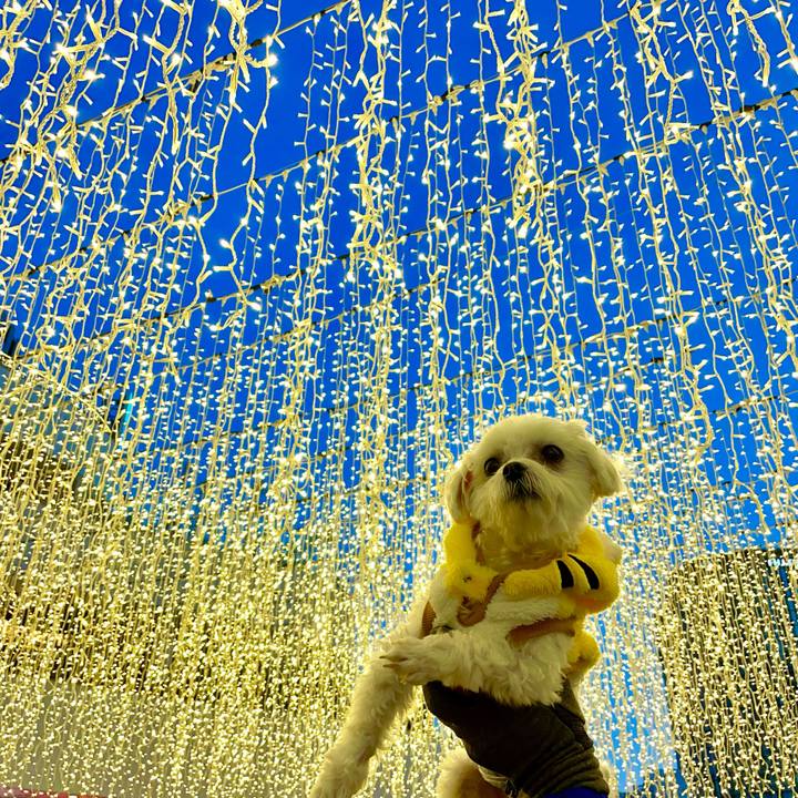 092440f5 a8b3 4fba a46f a07b53387cb6 1641265840094