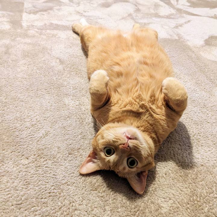 09244b28 a2f2 4c3c 8bd6 8d98d66b2ef7 1683586241821