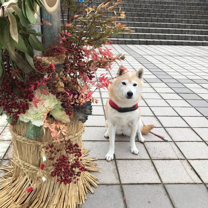 09244b2c f472 464d b13a a3d600d5902b 1667477109040