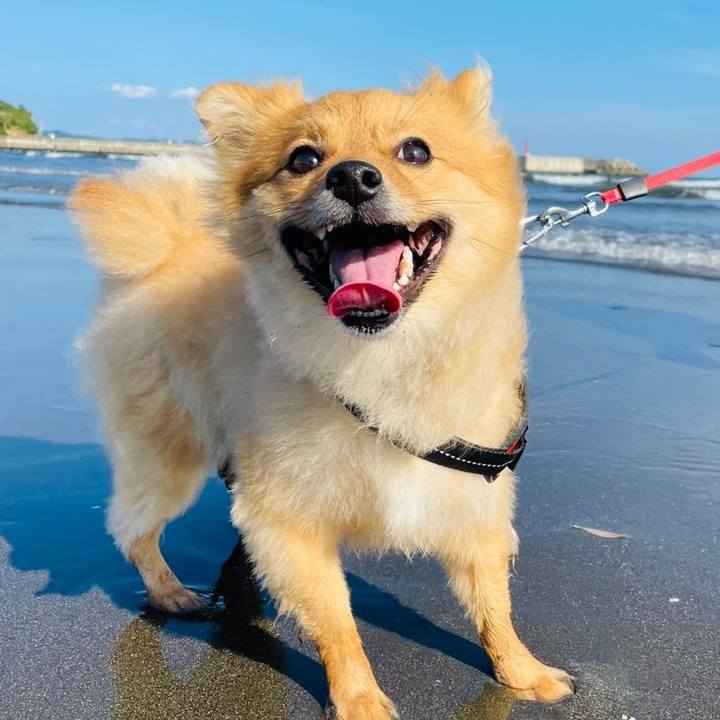 09245e68 fe26 48ea 887a 138b3597427b 1653260245864