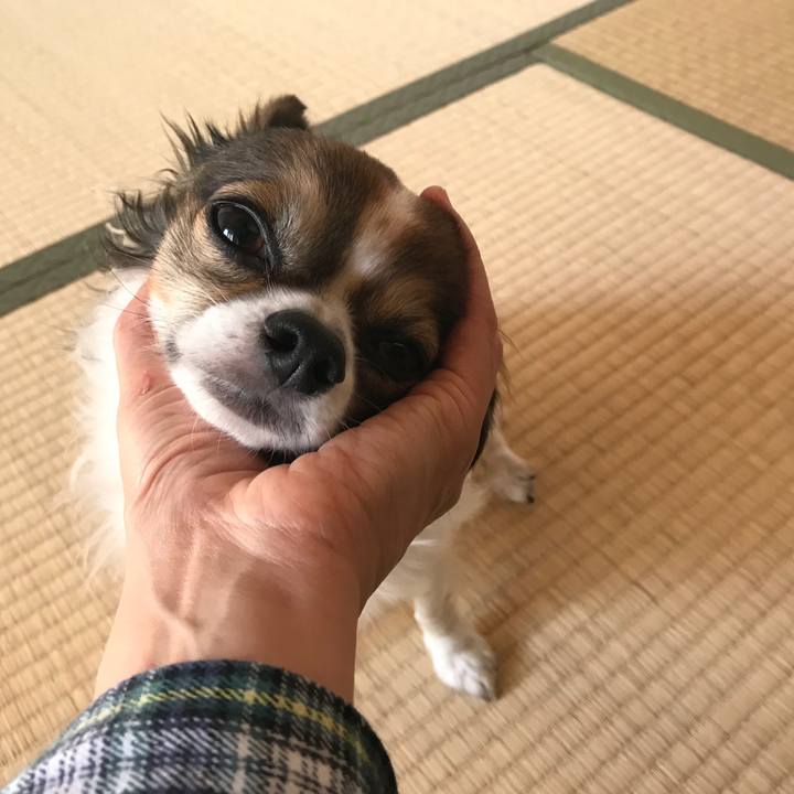 0924615c d22d 43ba 92a7 99d812ccc63e 1510223569494