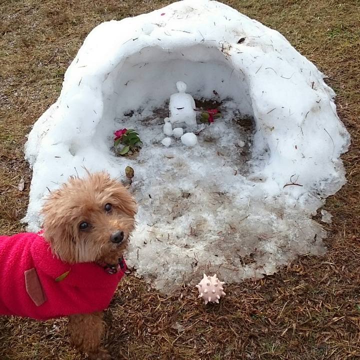 092487ea 2558 446a ac0f cb79ed4101b3 1515501881342