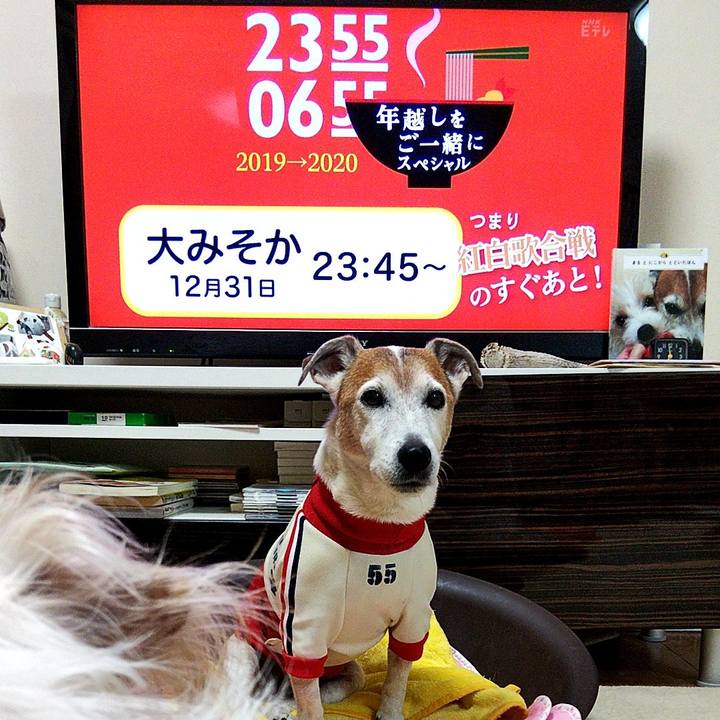 09249a3c 4f31 4297 b452 771a71fd3747 1576749820995