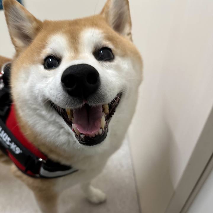 0924e4f5 0dfd 4e67 8104 4a3a7cd4101e 1668600695075