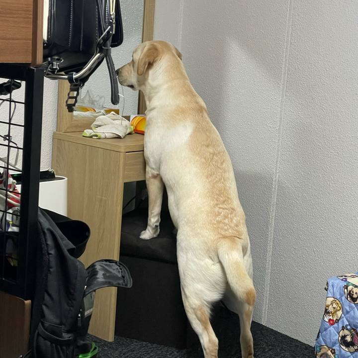 0924ec7c 438b 4dad bb62 18e05975cdfc 1638106059022