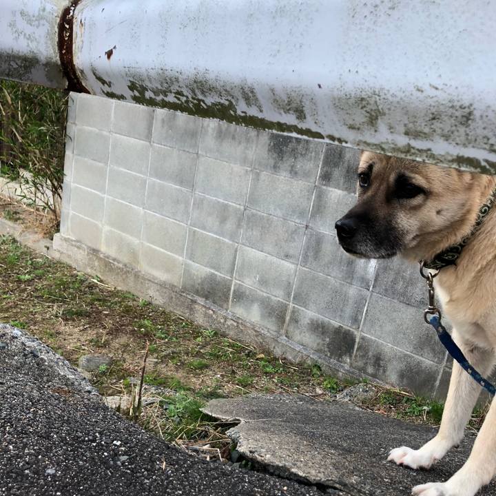 0924f894 25b8 4d1a a125 fe3e0c6d2638 1606825313278