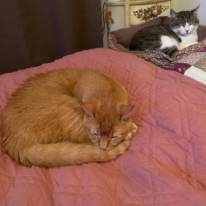 0925137f e8a4 4a16 bcd0 4591f5dea7a4 1733019424896