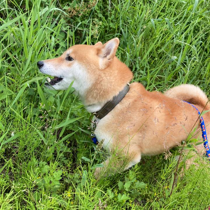 09252426 634f 4140 ac59 d9fae0bb97f9 1622015190315