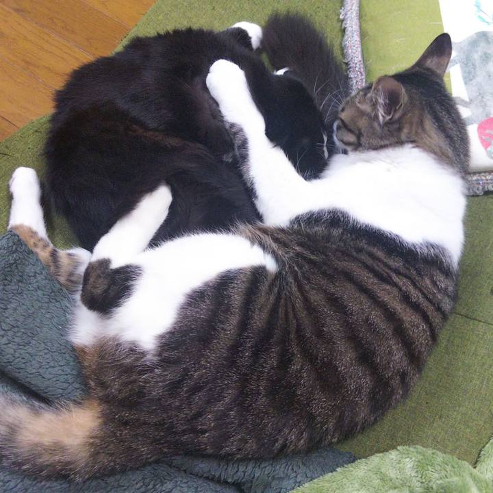 0925562a 7fc1 4214 9124 d7da1d8e69cb 1648792000772