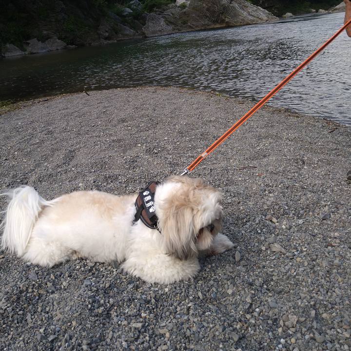 09259b80 9863 4f5a 8d03 cc86d5e60b63 1621933203789