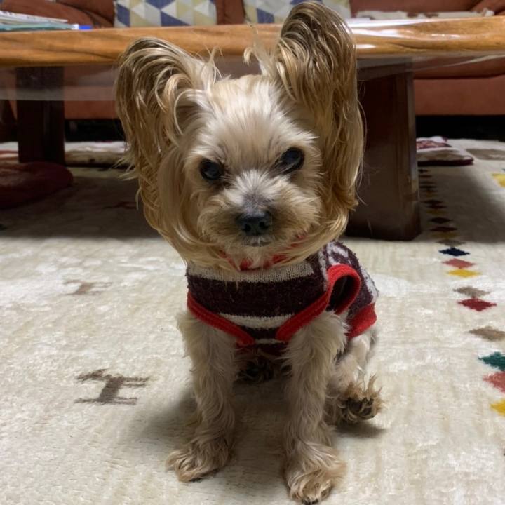 0925b4d8 b82d 448e a953 1ddb63d66f8d 1644573105527