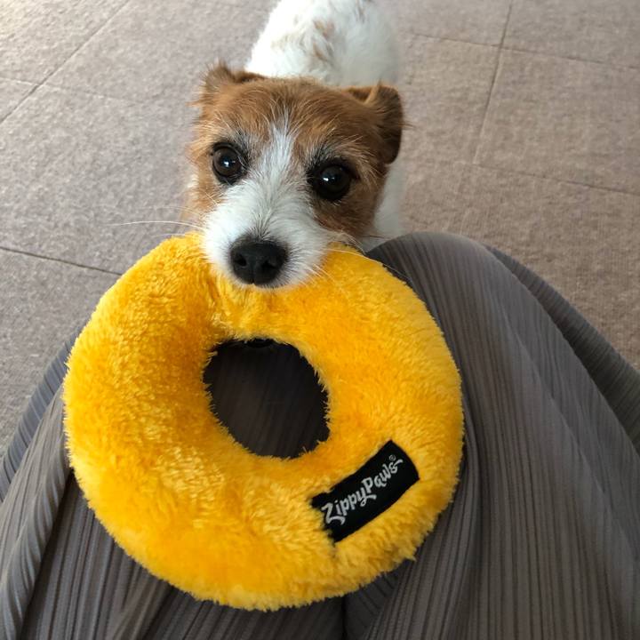 0925b789 145d 4687 a392 c853d50593df 1569836521111