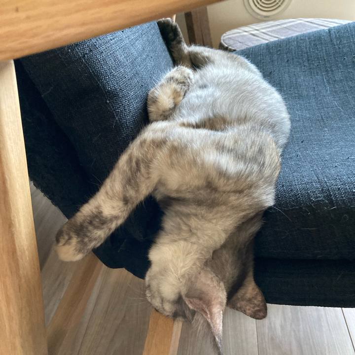 0925eddc 4dd2 47f6 ba1f 4d39237d99e1 1695967430266