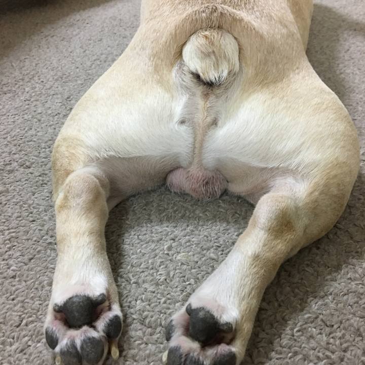 09260ccf 4061 424a 9238 8aff7a831a21 1511965880074